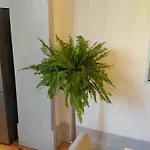 Lusitania Garden - Jardim Privado * Πόρτο
